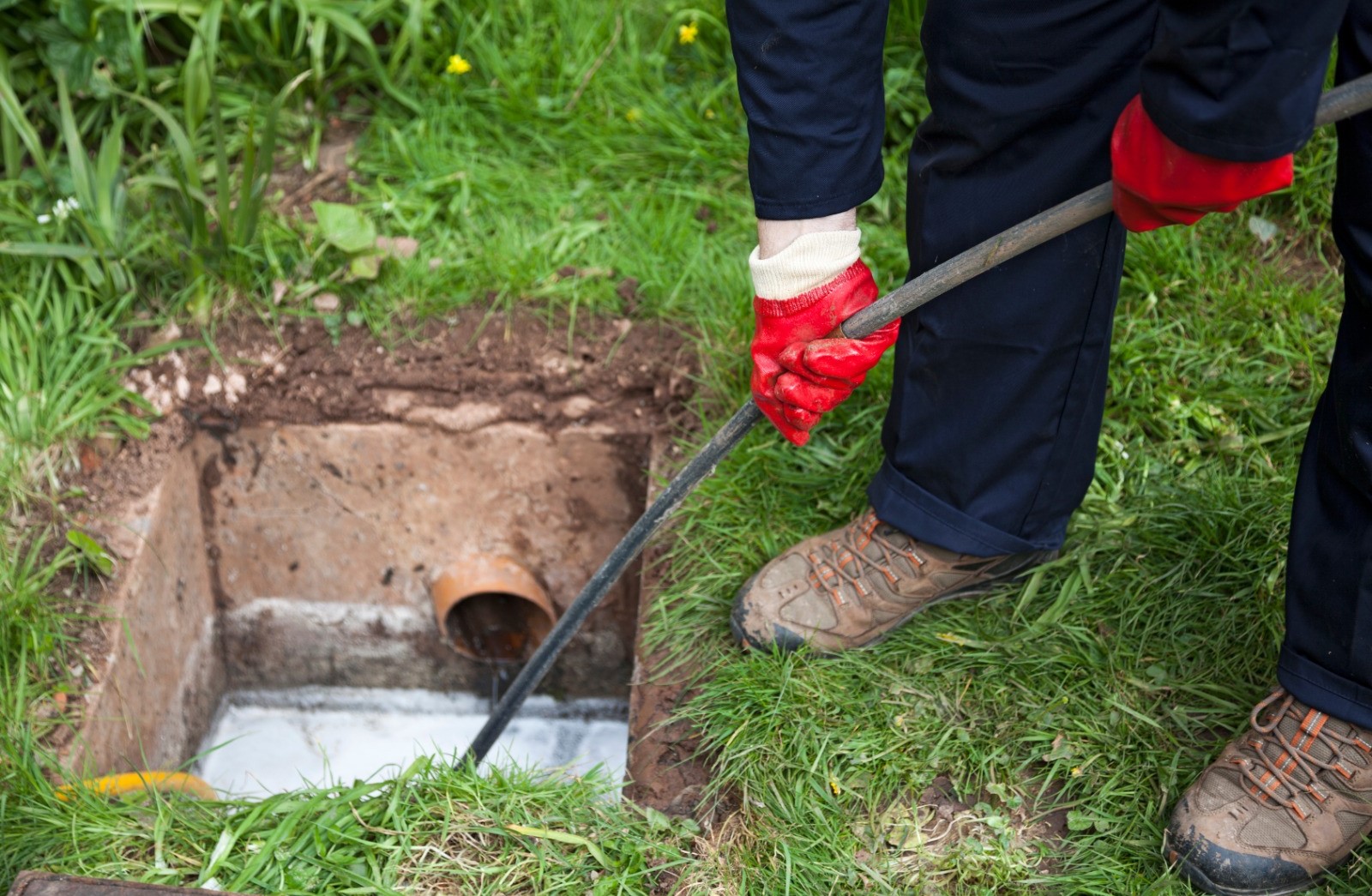 Imagem do WhatsApp de 2023-05-16 à(s) 10.17.48